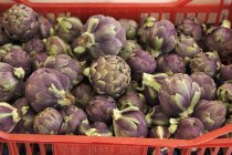 Alcachofas púrpuras en caja roja - foto de stock