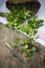 Frische Lämmer Salat mit Korb — Stockfoto