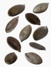 Diversi semi di zucca — Foto stock
