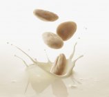 Almonds falling into milk — Stock Photo
