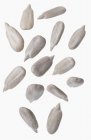 Sunflower seeds on white — Stock Photo