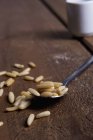 Pine seeds on spoon — Stock Photo