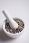Closeup view of dried Lavender in a white mortar with pestle — Stock Photo