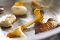 Mushrooms in grill pan — Stock Photo