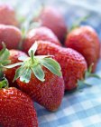 Fresh strawberries on checked cloth — Stock Photo