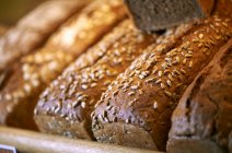 Подсолнечный хлеб на полке — стоковое фото