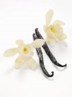 Gousses de vanille avec des fleurs — Photo de stock
