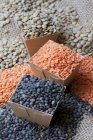Assorted types of lentils in cardboard containers and around — Stock Photo