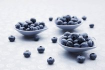 Fresh blueberries in bowls — Stock Photo
