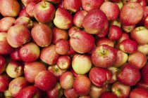 Manzanas frescas de mejillas rojas - foto de stock