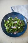 Salad with fresh herbs and radish — Stock Photo