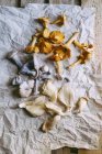 Cogumelos frescos colhidos — Fotografia de Stock
