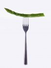 Stem of green asparagus on fork — Stock Photo