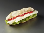 Sandwich de baguette con queso - foto de stock