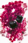 Cherries on frozen redcurrants — Stock Photo