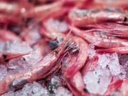Сырые креветки на льду — стоковое фото