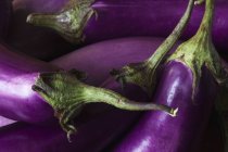 Fresh Organic Eggplants — Stock Photo