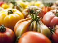 Colorido Beefsteak tomates - foto de stock
