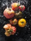 Vários tomates coloridos na água — Fotografia de Stock