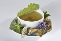 Herbal tea in cup with fresh herbs — Stock Photo