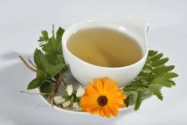 Cup of herbal tea — Stock Photo