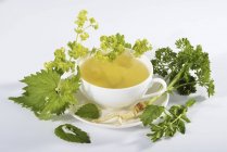 Cup of herbal tea with ingredients — Stock Photo