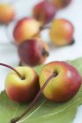 Manzanas silvestres frescas - foto de stock