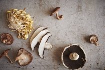 Top view of assorted mushrooms on wooden surface including oyster, shiitake and portabello — Stock Photo