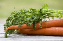 Fresh carrots with tops — Stock Photo