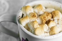 Heiße Schokolade mit Marshmallows — Stockfoto