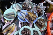 Verschiedene Fische aus Thailand — Stockfoto