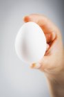 Mão feminina segurando ovo — Fotografia de Stock