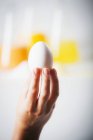 Mão feminina segurando ovo — Fotografia de Stock