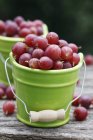 Uva spina rossa fresca — Foto stock