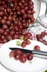 Grosellas rojas frescas maduras - foto de stock