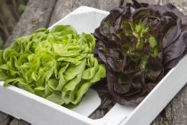 Red and green lettuce in crate — Stock Photo