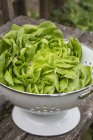 Fresh lettuce in colander — Stock Photo