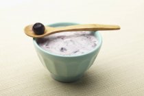 Primo piano vista di yogurt greco con mirtillo su cucchiaio di legno — Foto stock