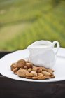 Nuts and a jug of milk — Stock Photo