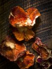 Gros plan vue de dessus des champignons frais du homard sur la surface en bois rustique — Photo de stock
