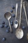 Antique spoons and blueberries — Stock Photo