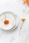 White plates with Gypsophila and marigold flowers — Stock Photo