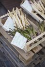 Wild asparagus in wooden crates — Stock Photo