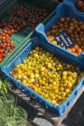 Cherry tomatoes in crates at the Torvehallerne market in Copenhagen — Stock Photo