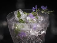 Vista da vicino della bevanda esotica con erba gatta e cubetti di ghiaccio — Foto stock