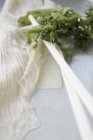Vista de cerca de la piel de la leche de soja Yuba con algas - foto de stock
