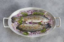 Fresh trout on red onions — Stock Photo