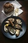Marennes oysters with bread — Stock Photo