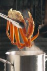Nahaufnahme einer Zange, die Krabbenbeine über dampfenden Brühtopf hält — Stockfoto