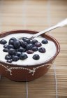 Чорниця в йогурті в мисці — стокове фото